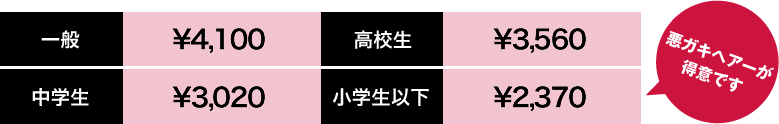 一般4,100円、高校生3,560円、中学生3,020、小学生以下2,370円